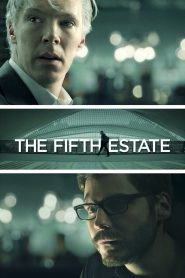 The Fifth Estate 2013