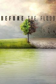 Before the Flood