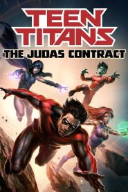 Teen Titans: The Judas Contract 2017