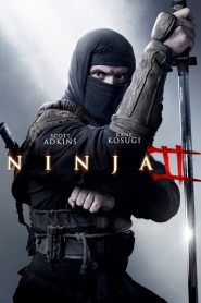 Ninja: Shadow of a Tear 2013