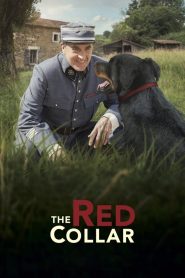 The Red Collar 2018