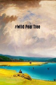 The Wild Pear Tree 2018