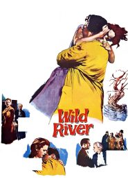 Wild River 1960