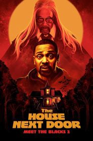 The House Next Door: Meet the Blacks 2 2021