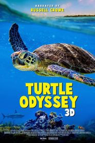 Turtle Odyssey 2018