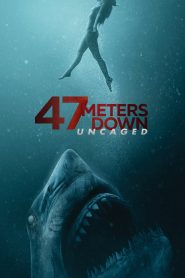 47 Meters Down: Uncaged 2019