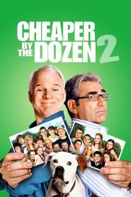 Cheaper by the Dozen 2 2005