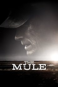 The Mule 2018