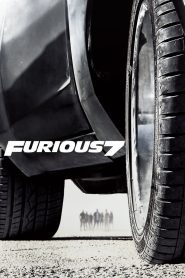 Furious Seven (7)