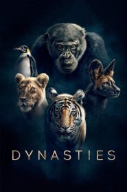 Dynasties 2018