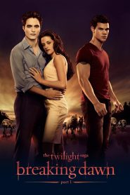 The Twilight Saga: Breaking Dawn — Part 1