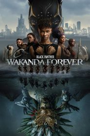 Black Panther: Wakanda Forever 2022