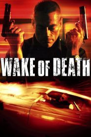 Wake of Death 2004