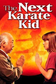 The Next Karate Kid 1994