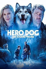 Hero Dog: The Journey Home 2021