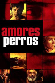 Amores Perros 2000