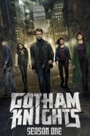 Gotham Knights: Season 1