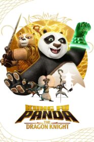 Kung Fu Panda: The Dragon Knight 2022