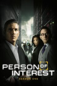 Person of Interest: Season 1