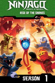 Ninjago: Masters of Spinjitzu: Season 1