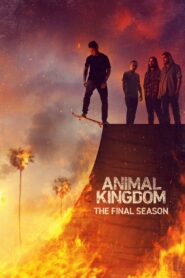 Animal Kingdom: Season 6