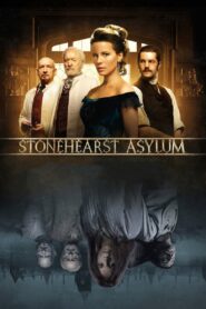 Stonehearst Asylum 2014