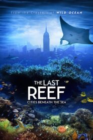 The Last Reef: Cities Beneath the Sea 2012